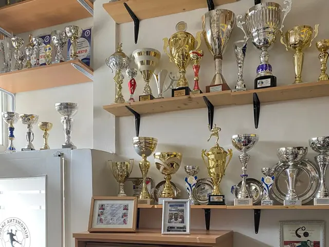 Trofeji iznad radnog stola